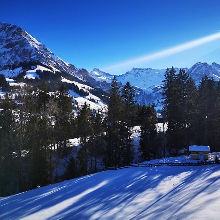 Ferienwohnung Crea Adelboden Zewnętrze zdjęcie